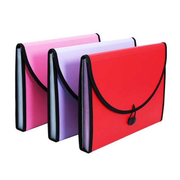 EXPANDING FILE & BAG